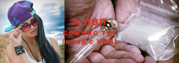 стаф Кулебаки