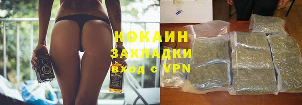 стаф Кулебаки