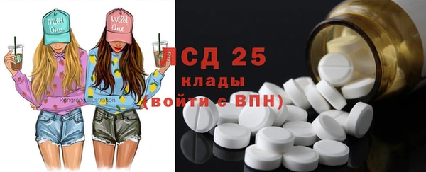 стаф Кулебаки