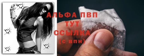 стаф Кулебаки