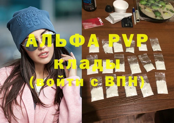 стаф Кулебаки