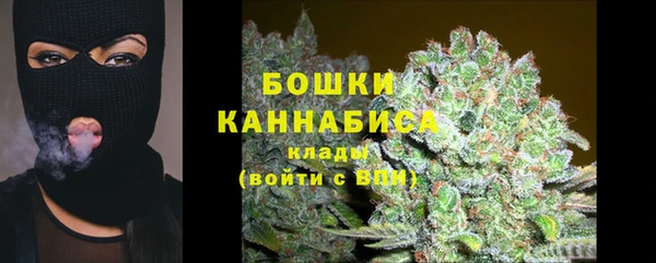 стаф Кулебаки