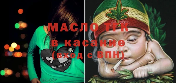 стаф Кулебаки