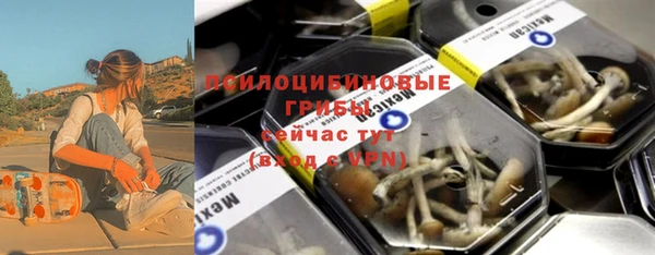 стаф Кулебаки